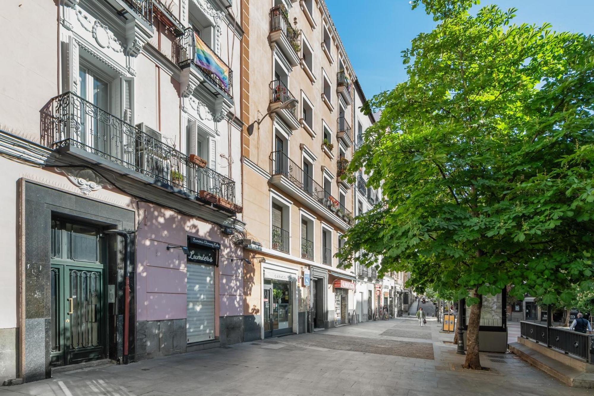 Plaza Chueca Apartamento *